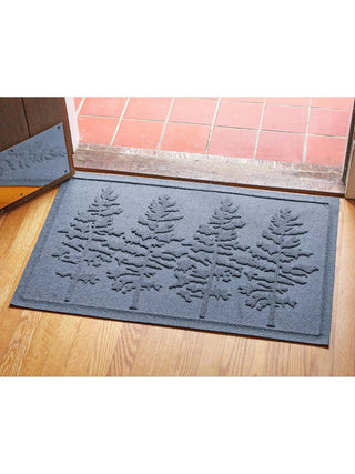  || https://assets.gardeners.com/transform/e8aeb6b7-7cd6-48ca-8e00-f75f6046ce5e/8615300_BL_01V