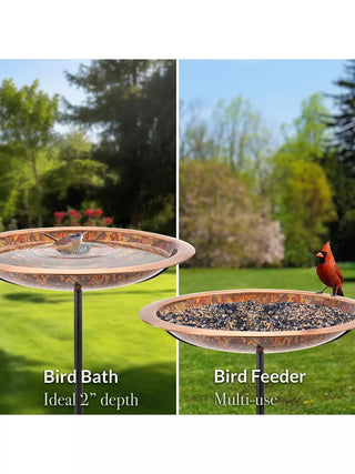  || https://assets.gardeners.com/transform/91499c7c-ffb7-4dbc-ad49-564e8f3d1678/8615308_02V