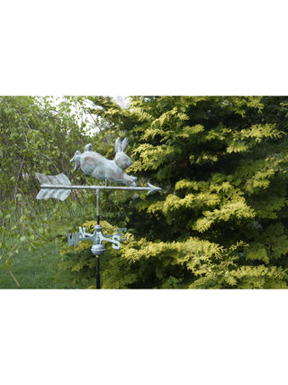  || https://assets.gardeners.com/transform/d083d611-b985-483f-a63c-c25c67c4be35/8615316-BLVD_01V