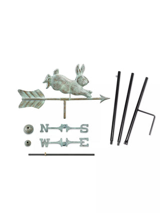  || https://assets.gardeners.com/transform/9a5ce337-af61-49f8-a01c-5ac721a2e8ec/8615316-BLVD_03V