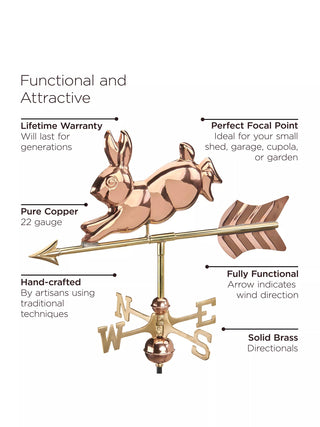  || https://assets.gardeners.com/transform/396b09d0-1823-47d6-b128-9b0e3274d664/8615316-CPR_02V