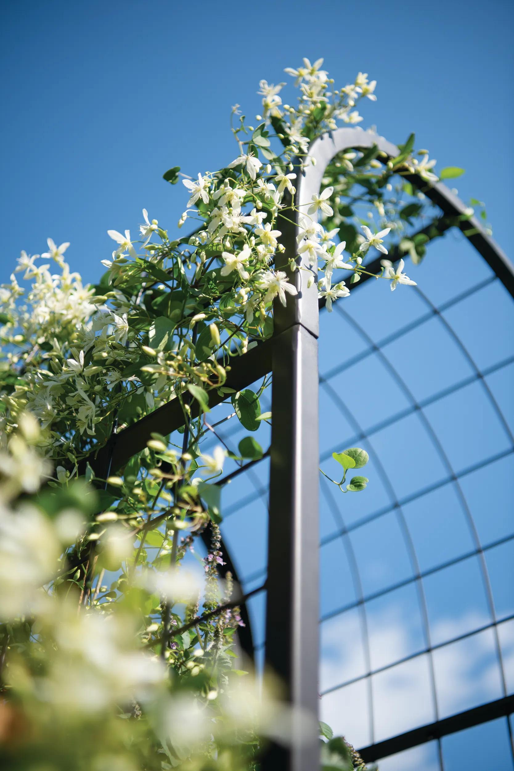 white trellis with planter 2x2 ARCH TRELLIS FOR PLANTER BOXES