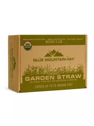  || https://assets.gardeners.com/transform/52cc8356-c54a-4f6c-94c1-3f7482295964/8615326-5_01V