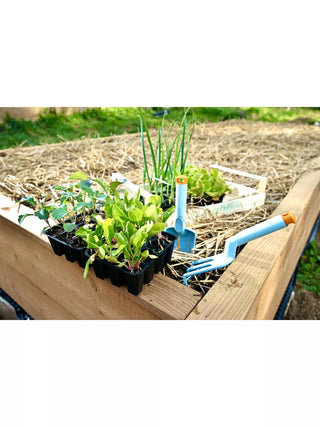  || https://assets.gardeners.com/transform/b2747c12-43b8-4d63-8726-59afb1ce9178/8615326_05V