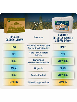  || https://assets.gardeners.com/transform/dcebb6b2-7074-4c67-8c07-7627536bc8b6/8615327_03V