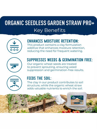 || https://assets.gardeners.com/transform/4d43edb5-830e-421f-a1a3-1fb8aa165952/8615327_04V