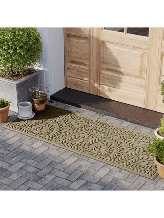  || https://assets.gardeners.com/transform/553c66ef-8365-4426-b457-7dbc15d86686/8615366-CML_04V