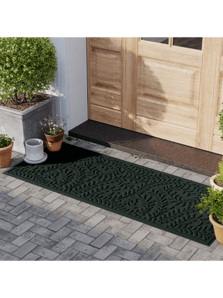  || https://assets.gardeners.com/transform/26937e5b-f411-4358-b1c1-36703c78eabb/8615366-EV_10V