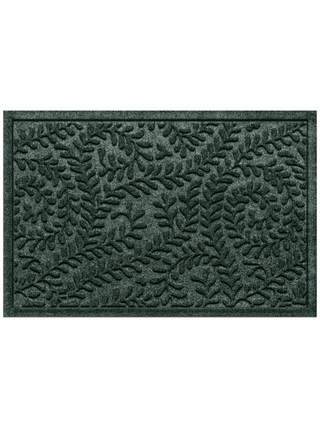  || https://assets.gardeners.com/transform/58a437ba-4bc6-48ce-90e6-e78b0b1ca453/8615367-EV_11V