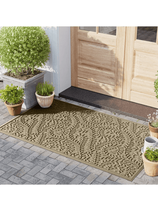  || https://assets.gardeners.com/transform/21fba9a0-9d90-4913-8d8a-31dc4361f670/8615369-CML_03V