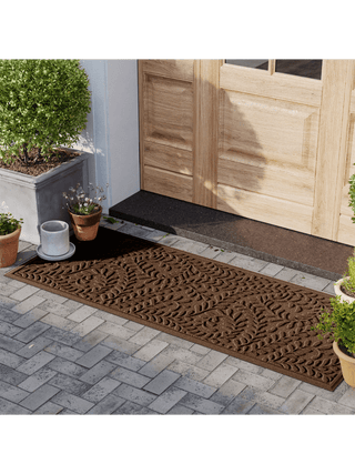  || https://assets.gardeners.com/transform/b193ab53-c9a7-4201-8323-33aff5571117/8615370-DKBR_04V