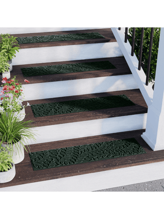  || https://assets.gardeners.com/transform/a7d0c8f7-a2dd-440d-9ed4-5b95feb0e1ea/8615371-EV_11V