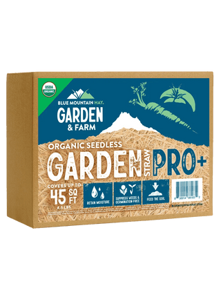  || https://assets.gardeners.com/transform/f7979139-e073-4a66-8504-560a97b6cb8c/8615430_01V