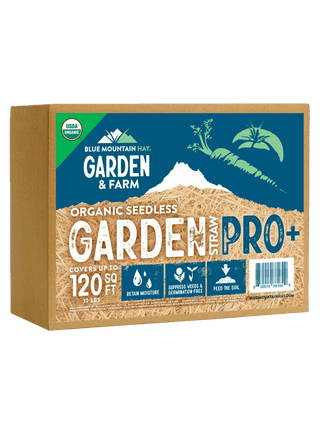  || https://assets.gardeners.com/transform/8e278b25-85a7-49b3-ac1b-f00b1803bd2b/8615430_02V