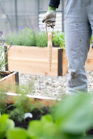 Lifetime Brass-Tipped Dibber