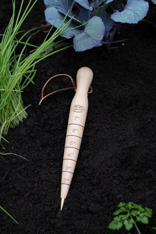 Lifetime Brass-Tipped Dibber