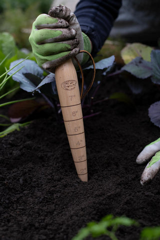 Lifetime Brass-Tipped Dibber