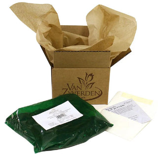  || https://assets.gardeners.com/transform/488dd095-dd56-4912-8fdf-caf39d301318/8615481_V3