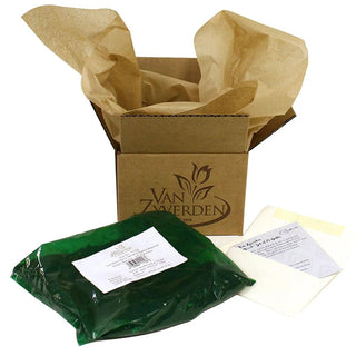  || https://assets.gardeners.com/transform/d8172202-c17a-4859-9571-a451b527c4b9/8615482_V4