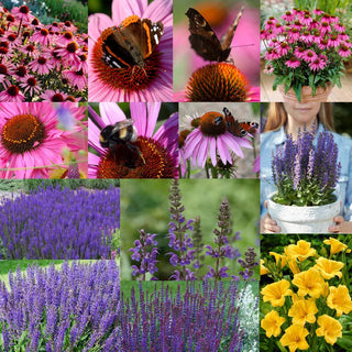  || https://assets.gardeners.com/transform/2260854d-46c6-4a62-8d10-20a691887c7a/8615500_V1