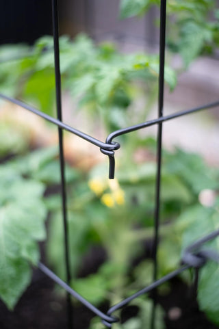 Super-Duty Tomato Cages