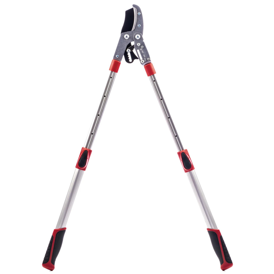 Radius 37