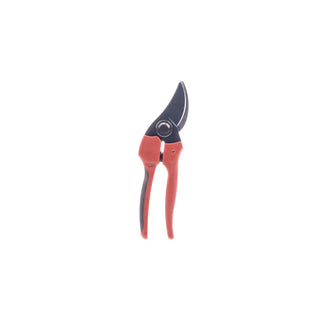  || https://assets.gardeners.com/transform/088fb18a-1d4d-4bf1-9102-16e85a8d9e2b/8615634_V1