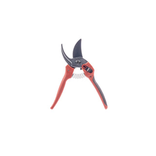  || https://assets.gardeners.com/transform/9be2f560-5810-4e18-8893-83acc54c245f/8615634_V2