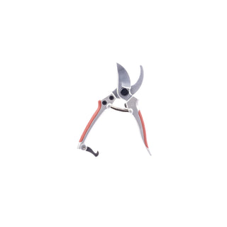  || https://assets.gardeners.com/transform/c89579ce-830d-427f-be2d-d87a594651bf/8615635_V2
