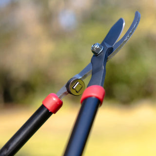  || https://assets.gardeners.com/transform/1e02b743-5adc-48d7-913c-9fca3b058363/8615641-28INCH_V2