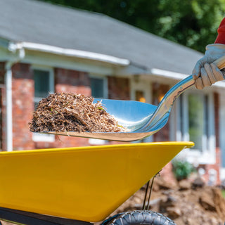  || https://assets.gardeners.com/transform/3a1d290c-88fc-4285-972c-146b1dbc2fd4/8615643-ALM_V4