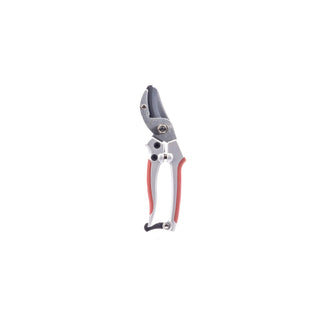  || https://assets.gardeners.com/transform/7354fc23-b7ae-470a-a7c6-646ac59370a3/8615644_V1