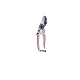  || https://assets.gardeners.com/transform/b9e41f1e-23e3-4859-ab4a-52821071def4/8615644_V3