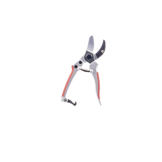  || https://assets.gardeners.com/transform/545f3afb-c9e2-4e84-b302-ef1e7b46105b/8615644_V4