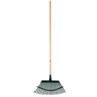  || https://assets.gardeners.com/transform/2ca5e3c0-7bf7-4a39-8ae5-a1a0c29e3a25/8615646-WD_V1