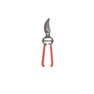  || https://assets.gardeners.com/transform/17dfdd65-adc1-4fa3-964c-2ab7bbbf05f7/8615647_V1