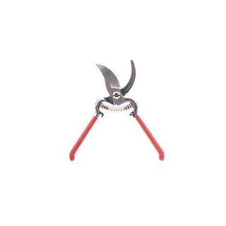  || https://assets.gardeners.com/transform/50846001-075d-4383-b0bc-2bb701a94e9a/8615647_V2