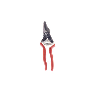  || https://assets.gardeners.com/transform/5e5ce888-8c0f-416b-aadf-471de530b79c/8615648_V1
