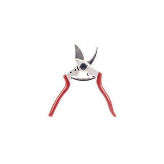  || https://assets.gardeners.com/transform/114cc016-050c-4767-8b9c-a5b2d26f01f1/8615648_V2