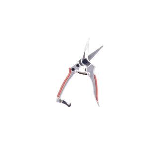  || https://assets.gardeners.com/transform/e6366c16-0940-42e0-874d-78ec587d196a/8615649_V3
