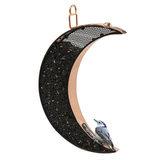  || https://assets.gardeners.com/transform/c49ce98d-721d-47bf-b57e-ffc48a8ce53c/8615665-MOON
