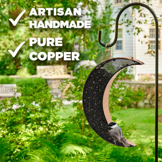 || https://assets.gardeners.com/transform/ca35e6bb-6f58-40a6-b1ab-3ab52078444d/8615665-MOON