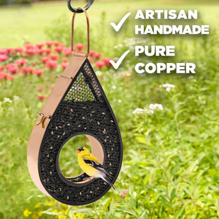  || https://assets.gardeners.com/transform/48016101-eede-469c-955f-86aa89d029ce/8615665-TRDP