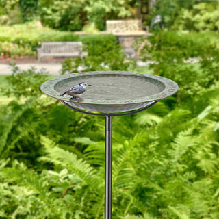  || https://assets.gardeners.com/transform/fd02d49d-a363-46f7-a0d0-0daaffe3de83/8615667-BLVD