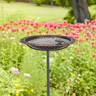  || https://assets.gardeners.com/transform/c291d748-52ae-44cd-ac9d-d848175130cf/8615667-BRZ