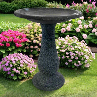  || https://assets.gardeners.com/transform/40423219-0372-401f-a132-1ee4e26cade4/8615673GY24_03V