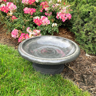  || https://assets.gardeners.com/transform/71a2f61c-5ff8-46c2-ae3a-9c6e474acf21/8615673GY7-5_03V