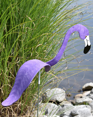 Florida Dancing Birds®, Flamingos