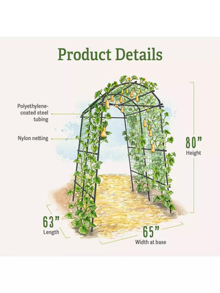  || https://assets.gardeners.com/transform/2c9dfd70-4697-43dc-99a5-fdfcb8e4219e/B07932DMCR_plantsupport_product-details
