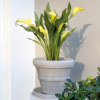 Brunello Planters